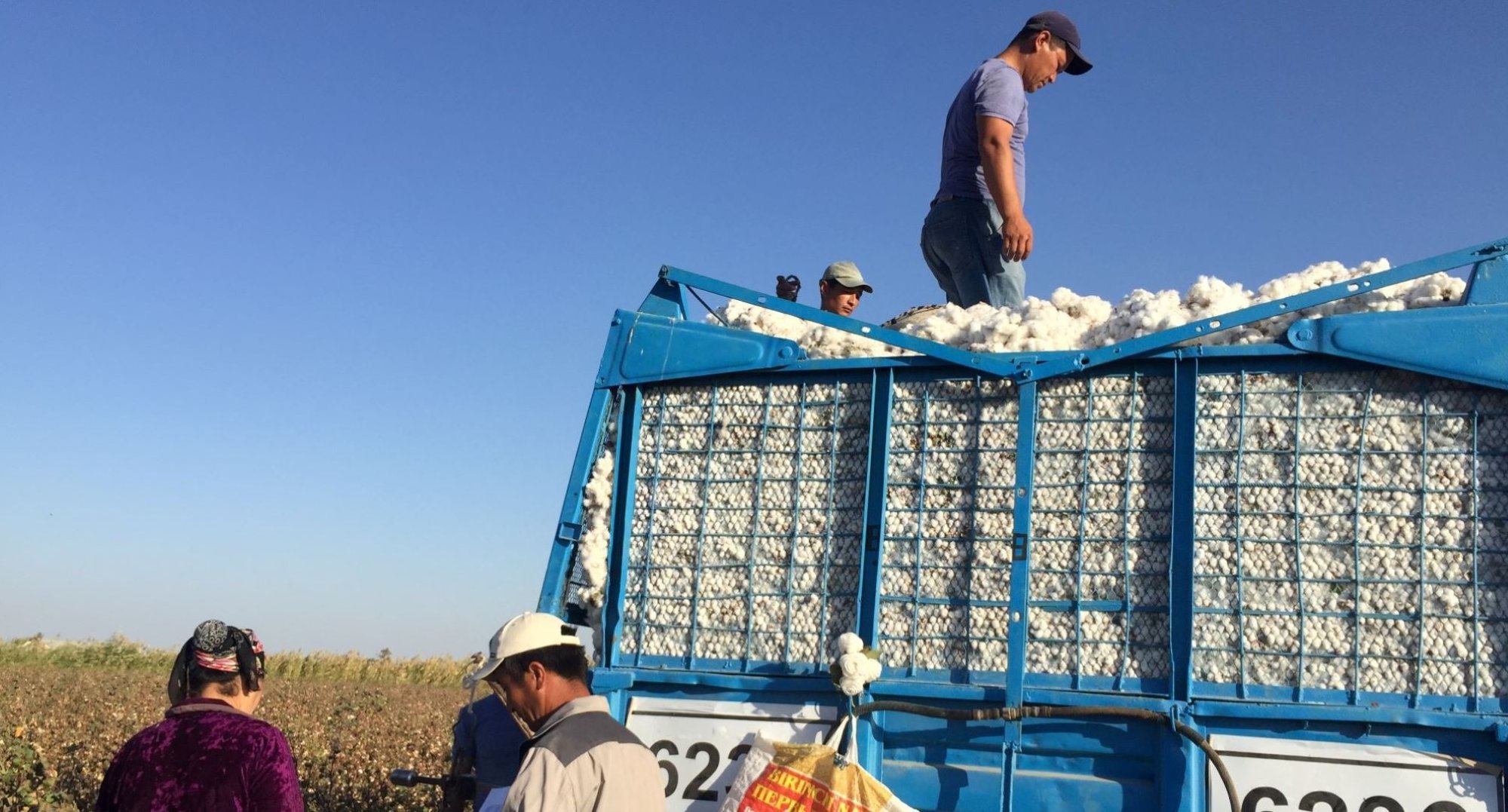 仙人掌　live on refugee Syrian Refugees Cross Into Turkey Under Cover of the Night